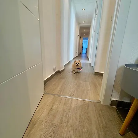 Djcumar En Comodo Y Bien Ubicado アパート