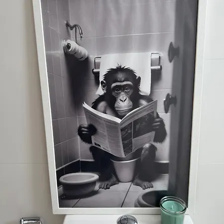 Apartament Djcumar *